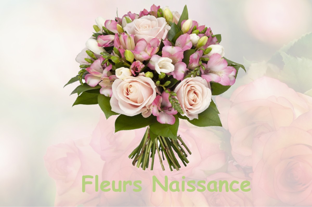 fleurs naissance SAINT-CHELY-D-AUBRAC